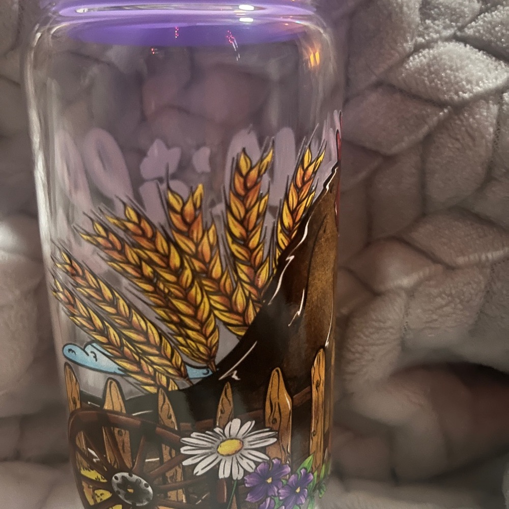 16 ounce rooster themed glass tumbler with acrylic lid and glass straw